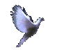 animateddove.gif